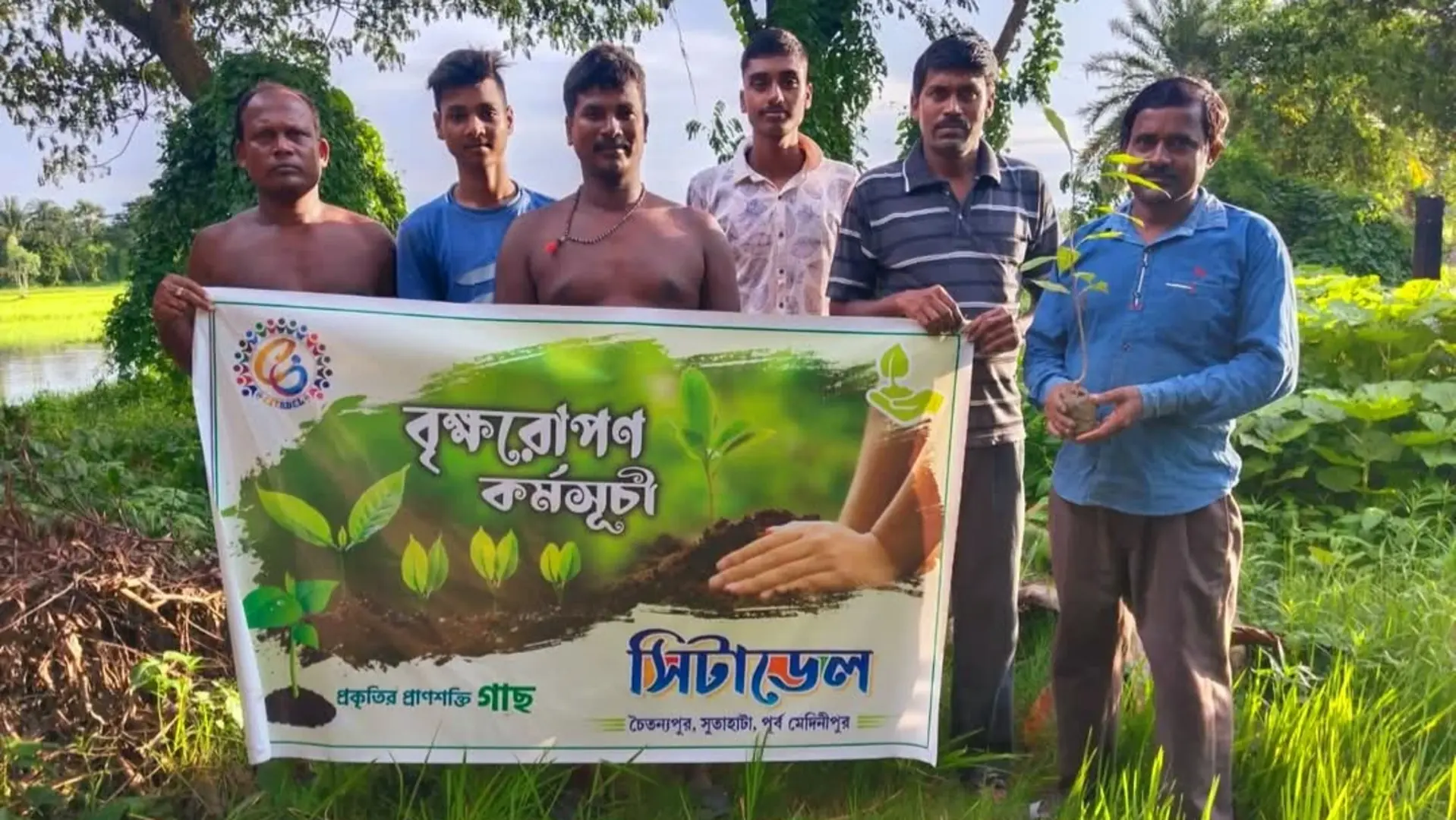 Tree Plantation